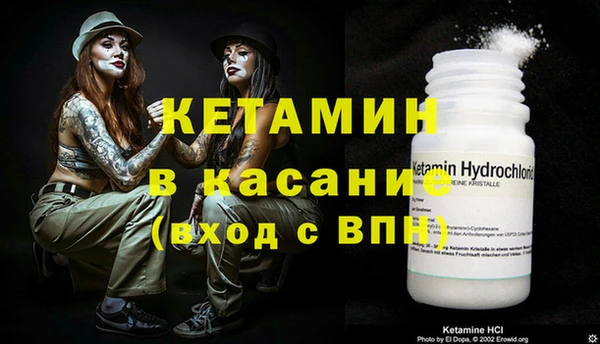 сатива Балахна