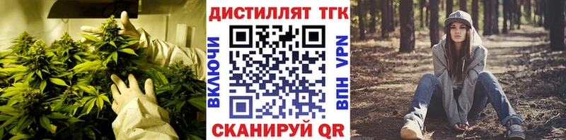 ТГК Wax  omg как войти  Углегорск  что такое  